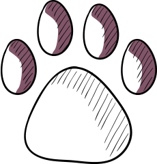 vets insurance illustration of paw print